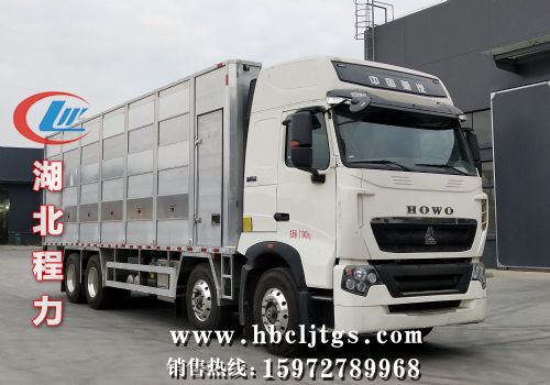 CLW5311CCQZ6䳵ͼƬ