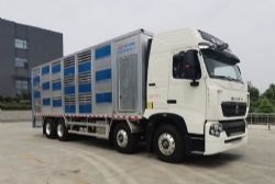CL5310CCQ6BZ䳵ͼƬ